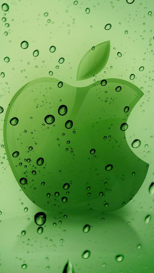 苹果13壁纸绿色版苹果13自带的壁纸图-第1张图片-太平洋在线下载